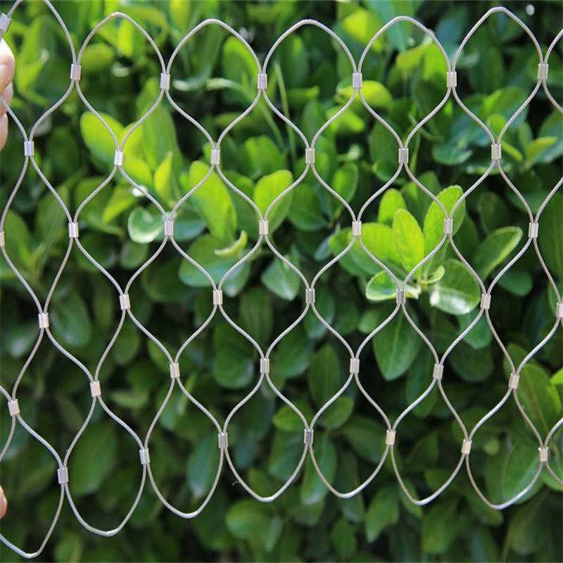 Green Wall Stainless Steel Cable Mesh: Versatile Solution