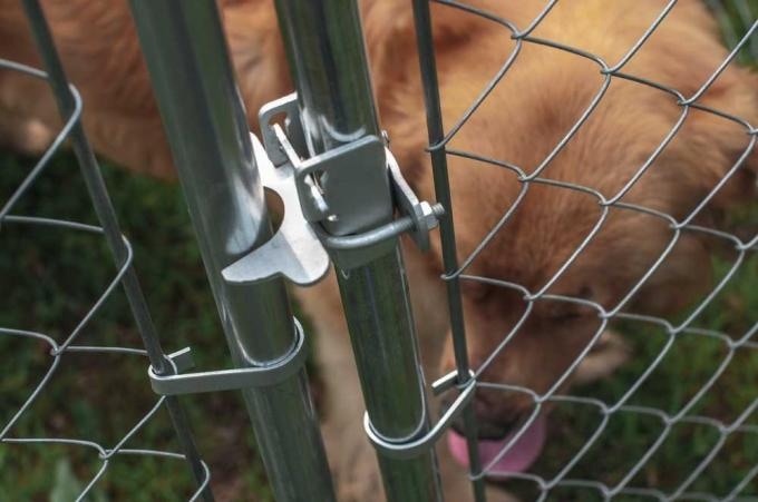 Temporary dog deals fence rental house