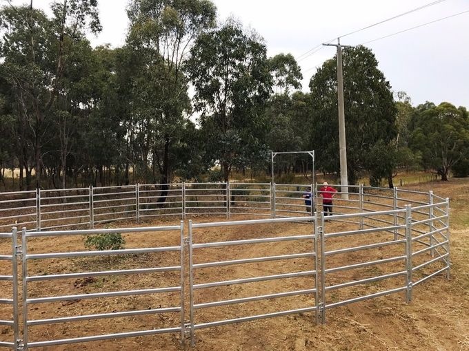 30pcs Bundle Heavy Duty Portable Corral Panels For Cattle & Gate
