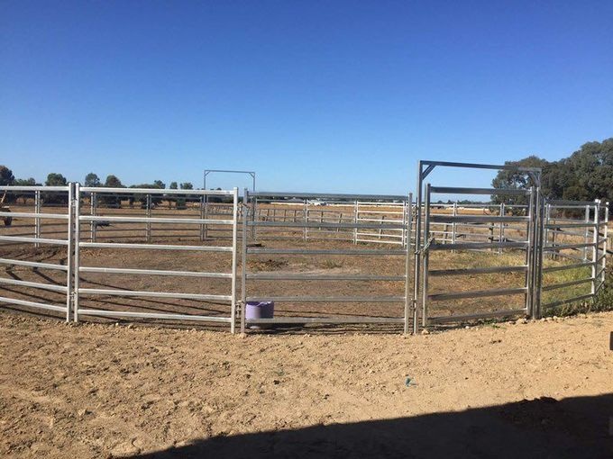 30pcs Bundle Heavy Duty Portable Corral Panels For Cattle & Gate