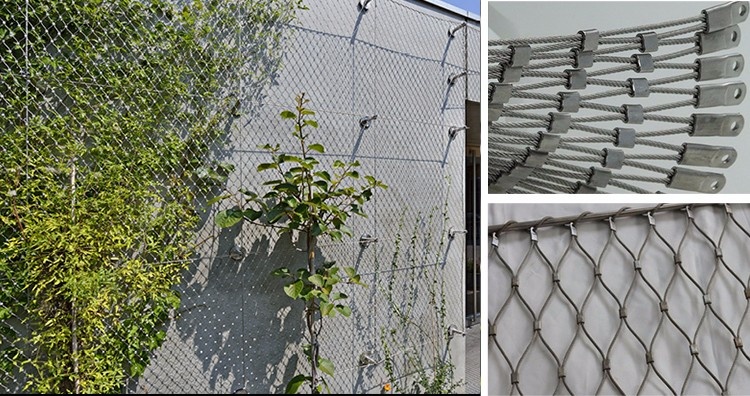Stainless Steel Wire Rope Mesh 100*100mm Cable Mesh Green Plant Climbing Trellis Wall Mesh For Garden