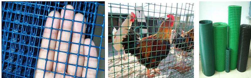 pvc welded wire mesh